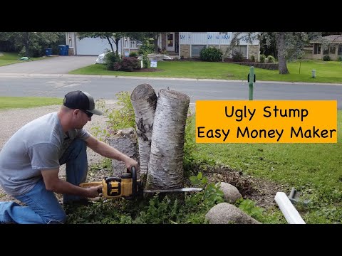 Small Job, Easy Money, Tractor Stump Grinder