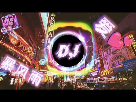 爱的暴风雨dj dj remix 中文舞曲