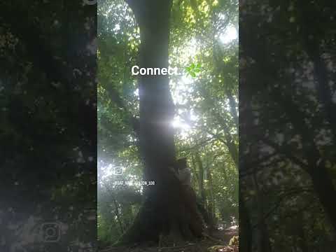 🌿🌿🌿🌿🌿🌿🌿Connect with Mother Nature🌿🌿🌿🌿🌿🌿🌿 #nature #sacredland #forestbathing #treehugger #természet