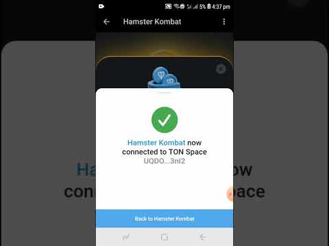 hamster Kombat connects to Your Wallet  | Connecting Your Wallet  combo | daily cipher | withdrawal
