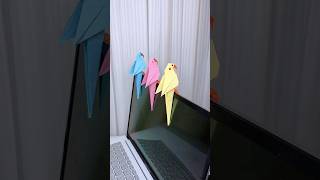 How to make origami parrot 🦜😍 #shorts #youtubeshorts #art #origami #craft #diy #papercraft #trend