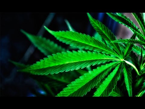 John Stossel - The Matter of Marijuana