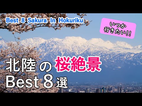 Best 8 Cherry Blossom (Sakura) Viewing Spots in Hokuriku, Japan / Toyama, Ishikawa, and Fukui