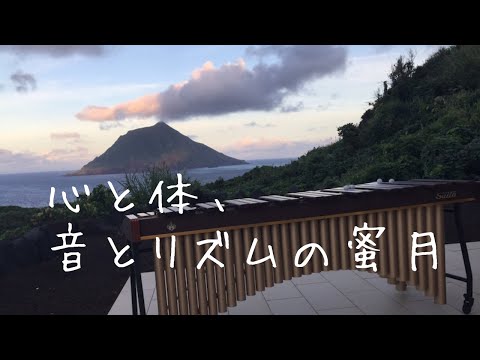 演奏会の緊張を解くヒント【心と体、音とリズムの蜜月】音楽好き必見！【前半】