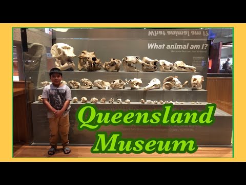 Queensland Museum Tour | Brisbane Museum