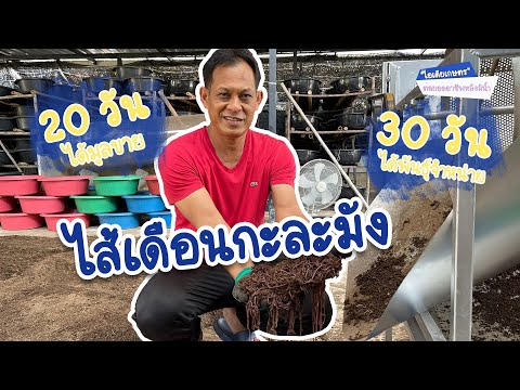 "ไส้เดือนกะละมัง" 20 วัน ได้มูลขาย 30 วัน ได้พันธุ์จำหน่าย