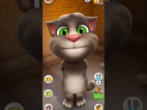 Talking Tom cat #shorts