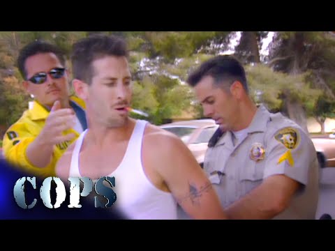 🚨 1 Hour of COPS Wildest Traffic Stops! 🚓 | Cops TV Show