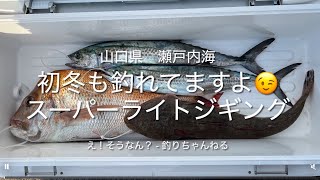 初冬も釣れてます！スーパーライトジギング　#スーパーライトジギング #slj #サワラ #マダイ #マゴチ釣り