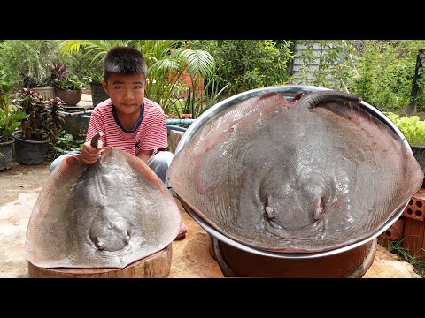 '' Big stingray '' Yummy stingray cooking with unique style - Chef Seyhak