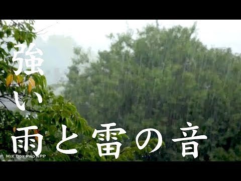 【リラックス脳波】 美しい雨の音 3時間 【ヒーリング】 Sound of Rain 3 Hours