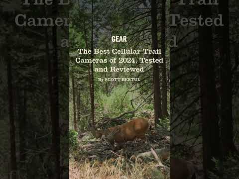 Best Cellular Trail Cameras of 2024