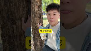 【超強改運法】 #風水 #快樂 #learnchinese #感情 #玄學 #正能量 #funny #life #改運 #補運