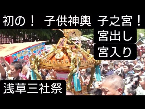 浅草三社祭２０２４年 三社祭初の！子供本社神輿？子之宮の宮出しと宮入りです！５月１８日 浅草神社 東京都台東区浅草 良かったらチャンネル登録よろしくお願いいたします❤️