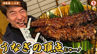 【東京じゃ食べれない】北九州小倉「田舎庵」の天然うなぎを寺門ジモンが食らう！うなぎの天上界にジモン絶叫！