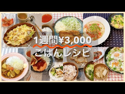 １週間３千円ごはん♪1週間夕飯献立 節約レシピ 2人分 志麻さんのレシピ 沸騰ワード10 簡単レシピ タサン志麻 きょうの料理 献立レシピ 2