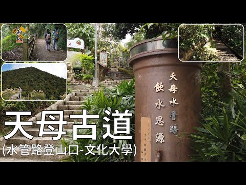 [台北．士林] #天母古道親山步道 (#水管路登山口 - #文化大學)