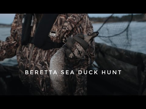 Beretta Sea Duck Hunt Part Deux