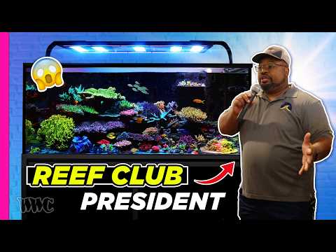 Mastering the Art of Reefkeeping: Tips from a Reef Club President | 250 Gallon Tank