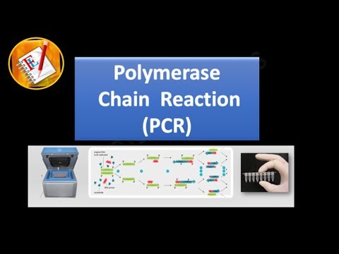 Basic Concepts 01 - Polymerase Chain Reaction (PCR)