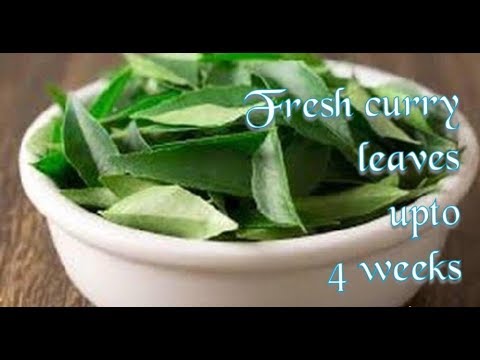 Curry leaves save fresh for long time || USA Tamil || Indian Store Curry leaves