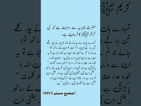 حضرت جویریہ سے روایت ہے کہ نبی کریم اللہ السلام کا فرمان ہے