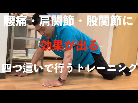 腰痛・肩関節・股関節に効果がある四つ這いで行うトレーニング