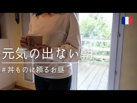 【フランス生活】みんなどうしてる？元気の出ない朝|３色丼に頼るお昼|忘れた頃にやって来る冷凍食品Thirietの配達|Vlog#23|海外生活