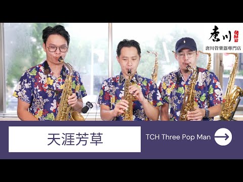 TCH Three Pop Man - 天涯芳草