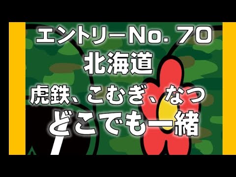 No.70 虎鉄、こむぎ、なつ