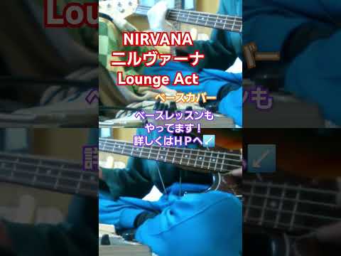 【NIRVANA　ニルヴァーナ】Lounge Act　#nirvana #ニルヴァーナ #loungeact