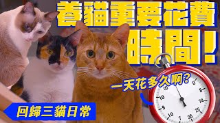 回歸三貓的日常有改變嗎？意外發現巴努愛上了貓砂機｜宇宙貓咪🐾