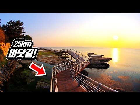 The longest and most beautiful beach trekking course in Korea 4