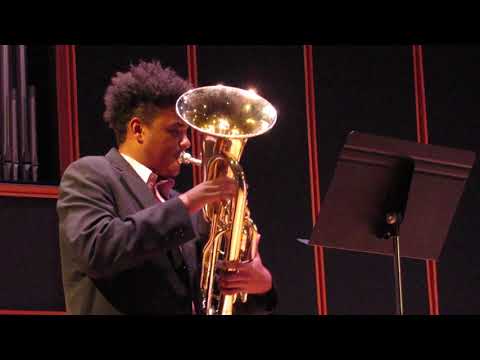 Skyfall - Malcolm Watson - solo euphonium (GSU)