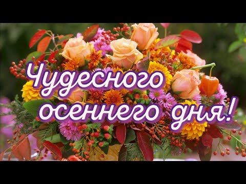 Прекрасного Вам осеннего дня❤️Шикарная песня и яркие,осенние зарисовки❤️Для настроения!