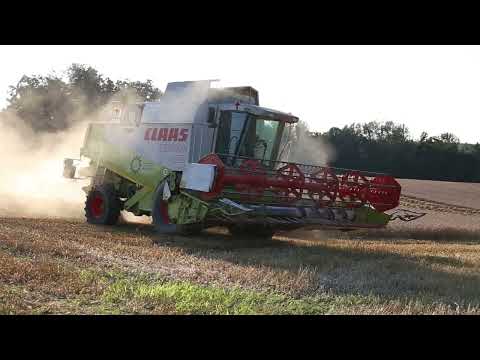 Claas Lexion 460 & Claas Arion 660 mit Claas Quadrant 5200FC /2024