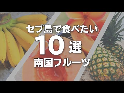 セブ島旅行で食べたい南国フルーツ10選