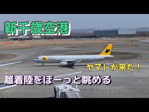 新千歳空港で離着陸を眺める（ヤマト貨物機も来るよ）