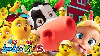 🔴A Ram Sam Sam | Los Pollitos y Las Mejores Canciones Infantiles LooLoo | LIVE | Vídeo Para Niños