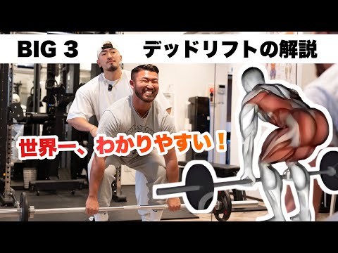 【筋トレ】デッドリフトのわかりやすい解説、決定版！