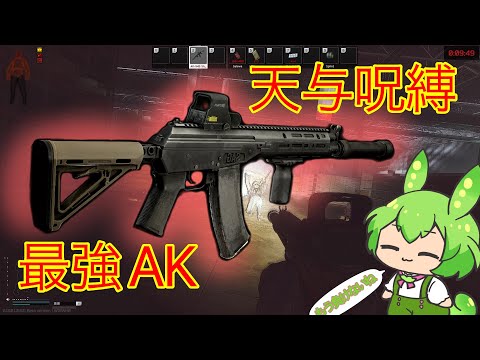 【タルコフ】極限夢想な最強AKを握り夜インチェを闊歩するずんだもん実況/AK545 short