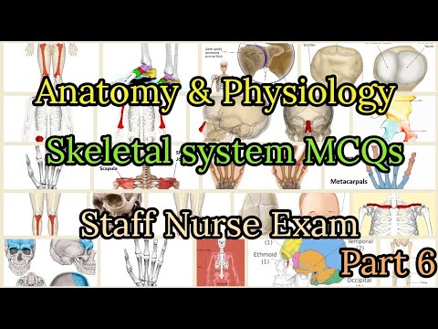 Anatomy and Physiology MCQ | Skeletal system MCQs | Staff nurse exam | Part 6 #anatomyandphysiology