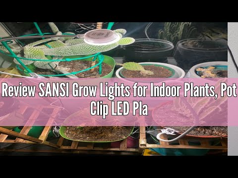 Review SANSI Grow Lights for Indoor Plants, Pot Clip LED Plant Light for Growing Full Spectrum, Plan