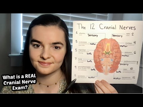 ASMR Teaching You About the Cranial Nerves | How Does a Cranial Nerve Exam Really Work?