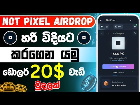 Not pixel aidrop sinhala | not pixel aidrop | telegram aidrop sinhala