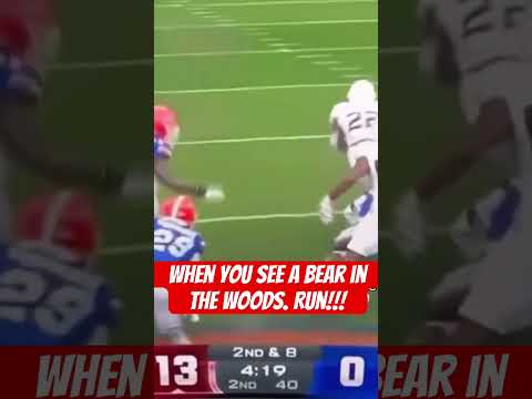 When you see a bear in the woods. Run!!!