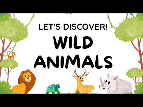 Wild animals for kids | Zoo Animals Name @smartkiddos5555