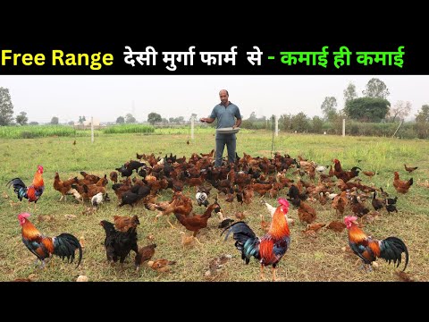 शहर की नौकरी से अच्छा गांव में कमाता हूँ  II Free-range farming  II Desi murga @ IFT