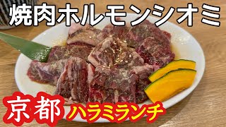 高齢の母もぺろりと完食！新鮮で美味しい焼肉屋さんでランチ