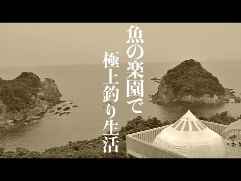 1000種類もの魚が生息する“魚の楽園”は釣り人にとっても最高の場所でした。〜1泊2日の極上釣り生活〜高知県大月町